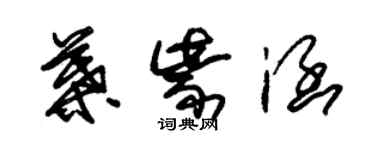 朱錫榮葉紫涵草書個性簽名怎么寫