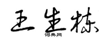 曾慶福王生棟草書個性簽名怎么寫