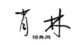 梁錦英肖林草書個性簽名怎么寫