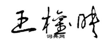 曾慶福王權映草書個性簽名怎么寫