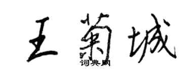 王正良王菊城行書個性簽名怎么寫