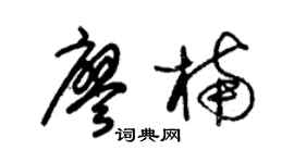朱錫榮廖楠草書個性簽名怎么寫