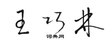 駱恆光王巧林草書個性簽名怎么寫