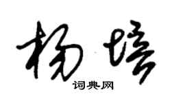 朱錫榮楊培草書個性簽名怎么寫