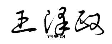 曾慶福王澤政草書個性簽名怎么寫