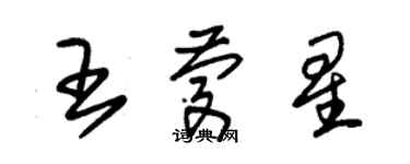 朱錫榮王慶星草書個性簽名怎么寫