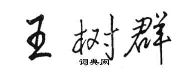 駱恆光王樹群行書個性簽名怎么寫