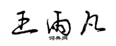 曾慶福王雨凡草書個性簽名怎么寫