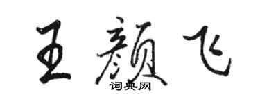 駱恆光王顏飛行書個性簽名怎么寫