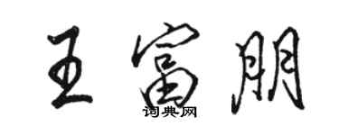駱恆光王富朋行書個性簽名怎么寫