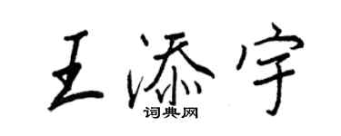 王正良王添宇行書個性簽名怎么寫