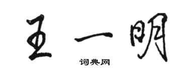 駱恆光王一明行書個性簽名怎么寫