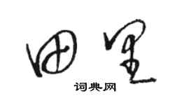 駱恆光田裡草書個性簽名怎么寫