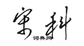 駱恆光宋科草書個性簽名怎么寫