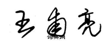 朱錫榮王甫亮草書個性簽名怎么寫