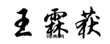 胡問遂王霖獲行書個性簽名怎么寫