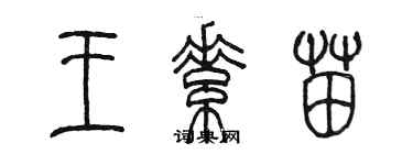 陳墨王素苗篆書個性簽名怎么寫