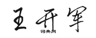 駱恆光王開軍行書個性簽名怎么寫