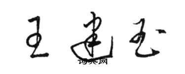 駱恆光王建玉草書個性簽名怎么寫