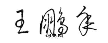 駱恆光王鵬年草書個性簽名怎么寫