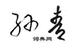 駱恆光孫青草書個性簽名怎么寫