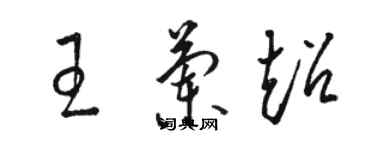 駱恆光王蘭超草書個性簽名怎么寫