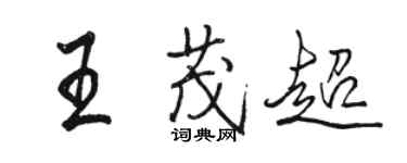 駱恆光王茂超行書個性簽名怎么寫