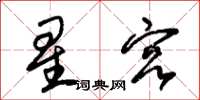 朱錫榮星宮草書怎么寫