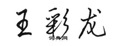 駱恆光王彩龍行書個性簽名怎么寫