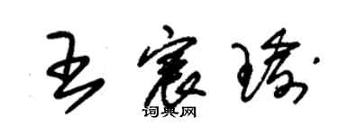 朱錫榮王宸瑜草書個性簽名怎么寫