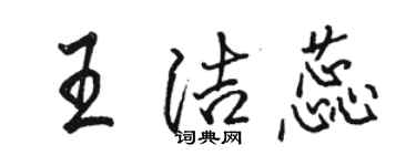 駱恆光王潔蕊行書個性簽名怎么寫