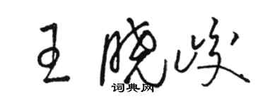 駱恆光王曉峻草書個性簽名怎么寫