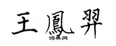 何伯昌王鳳羿楷書個性簽名怎么寫