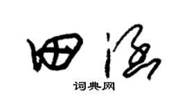 朱錫榮田涵草書個性簽名怎么寫