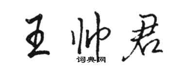 駱恆光王帥君行書個性簽名怎么寫