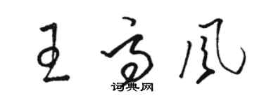 駱恆光王高風草書個性簽名怎么寫