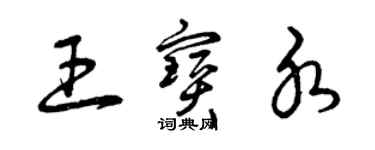 曾慶福王寶水草書個性簽名怎么寫