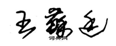 朱錫榮王蘇廷草書個性簽名怎么寫