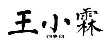 翁闓運王小霖楷書個性簽名怎么寫