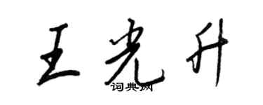 王正良王光升行書個性簽名怎么寫