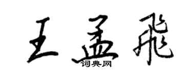 王正良王孟飛行書個性簽名怎么寫