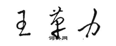 駱恆光王革力草書個性簽名怎么寫