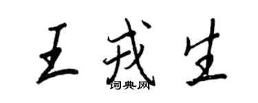 王正良王戎生行書個性簽名怎么寫