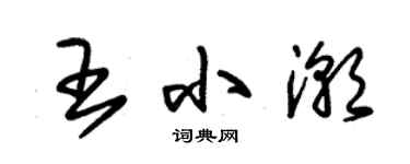 朱錫榮王小潮草書個性簽名怎么寫