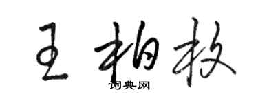 駱恆光王柏枚草書個性簽名怎么寫