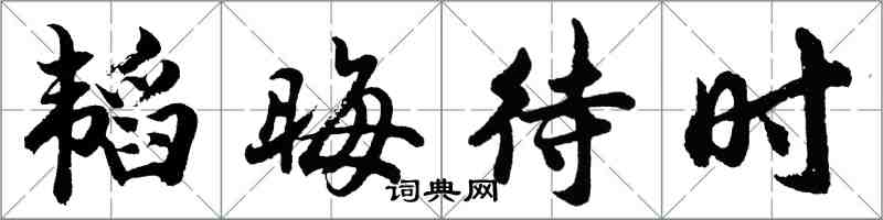 胡問遂韜晦待時行書怎么寫