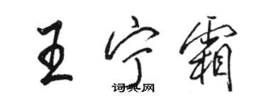 駱恆光王寧霜行書個性簽名怎么寫
