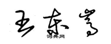 朱錫榮王東嵩草書個性簽名怎么寫