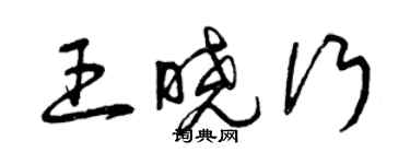 曾慶福王曉行草書個性簽名怎么寫