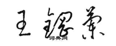 駱恆光王鋼蘭草書個性簽名怎么寫